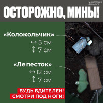 Внимание!!! Внимание!!!.
