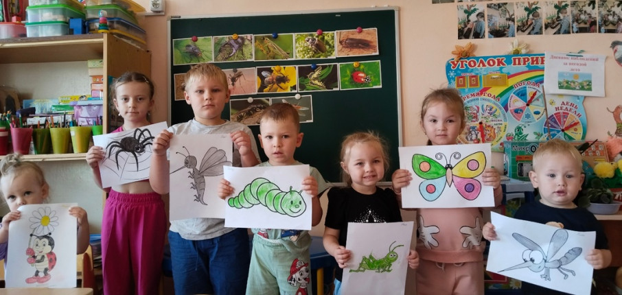 "Удивительный мир насекомых" "Удивительный мир насекомых".